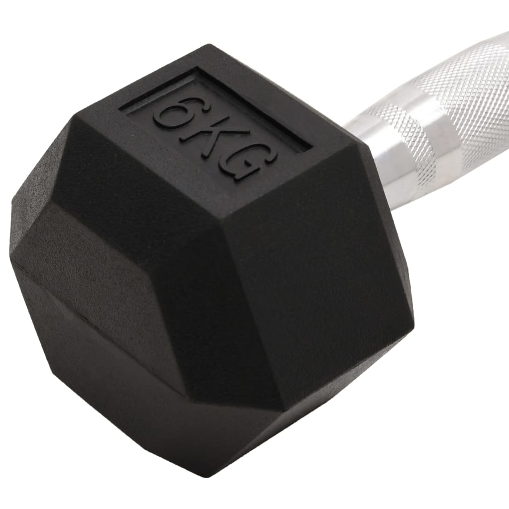 Haltères 2 pcs 12 kg Fonte