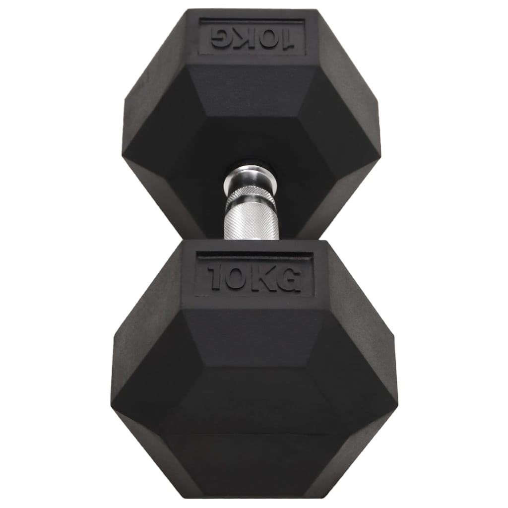 Haltères 2 pcs 20 kg Fonte