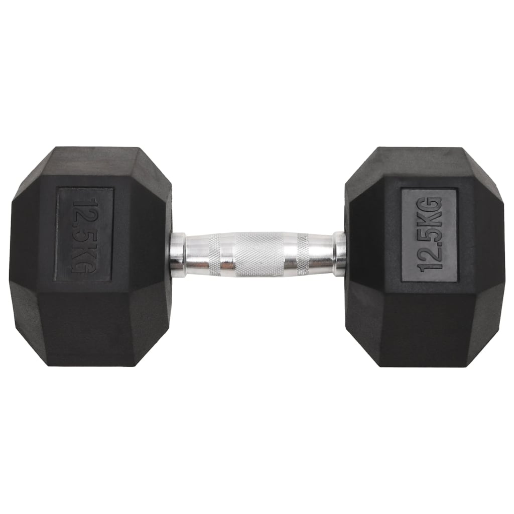 Haltères 2 pcs 25 kg Fonte