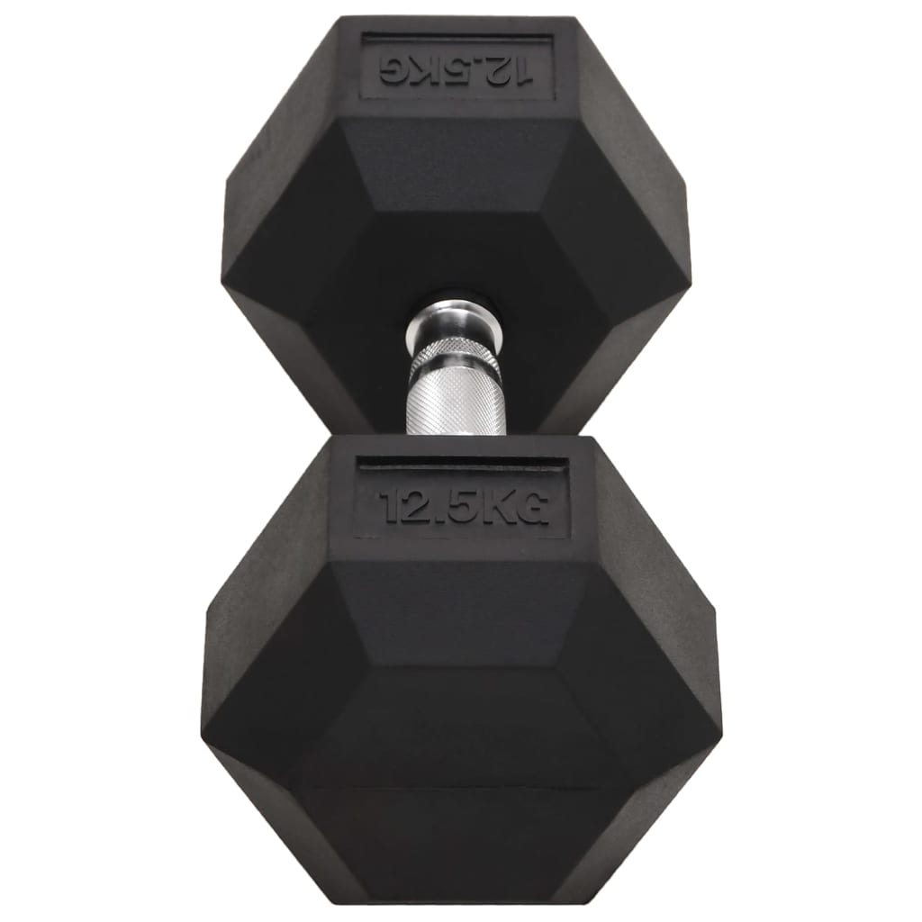 Haltères 2 pcs 25 kg Fonte