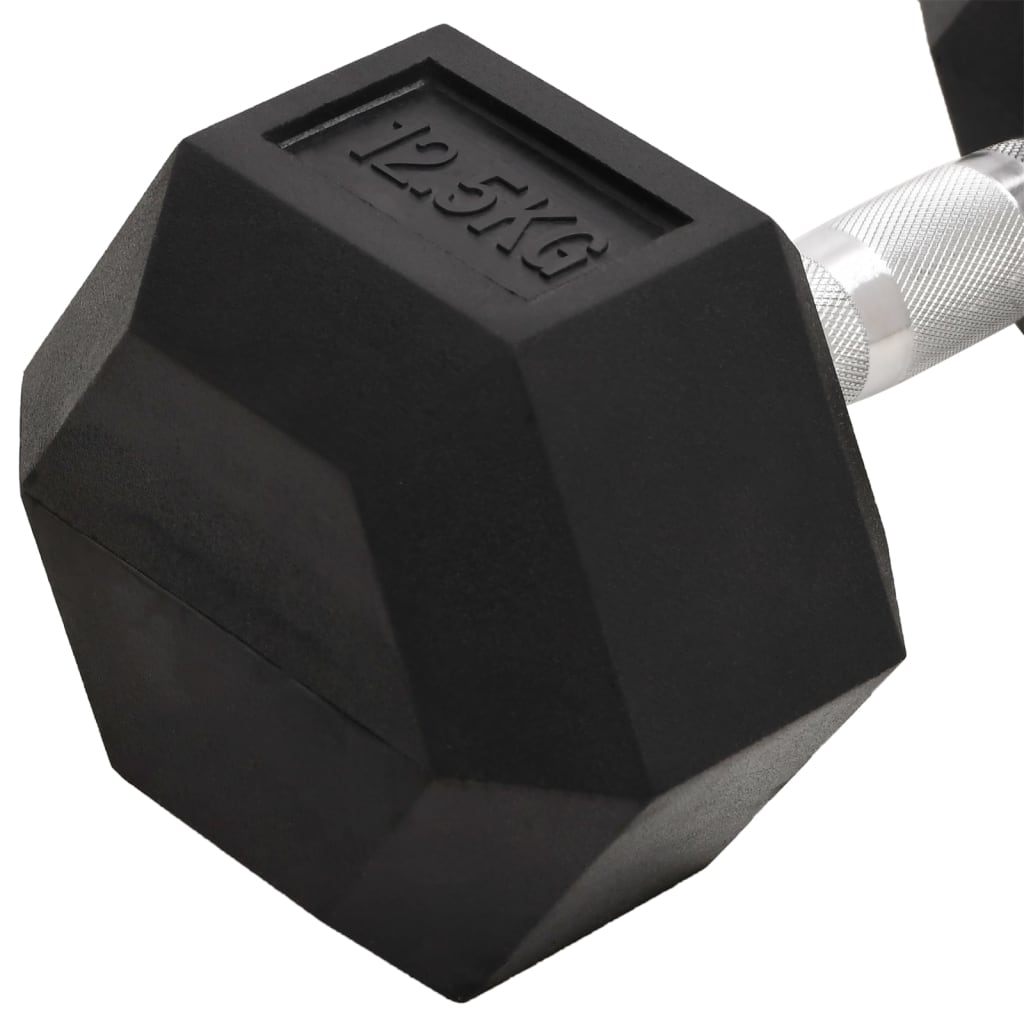 Haltères 2 pcs 25 kg Fonte