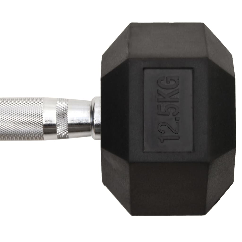 Haltères 2 pcs 25 kg Fonte