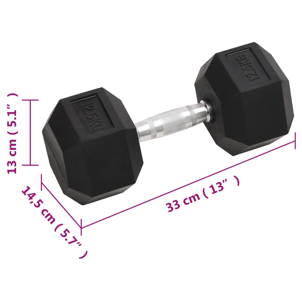 Haltères 2 pcs 25 kg Fonte