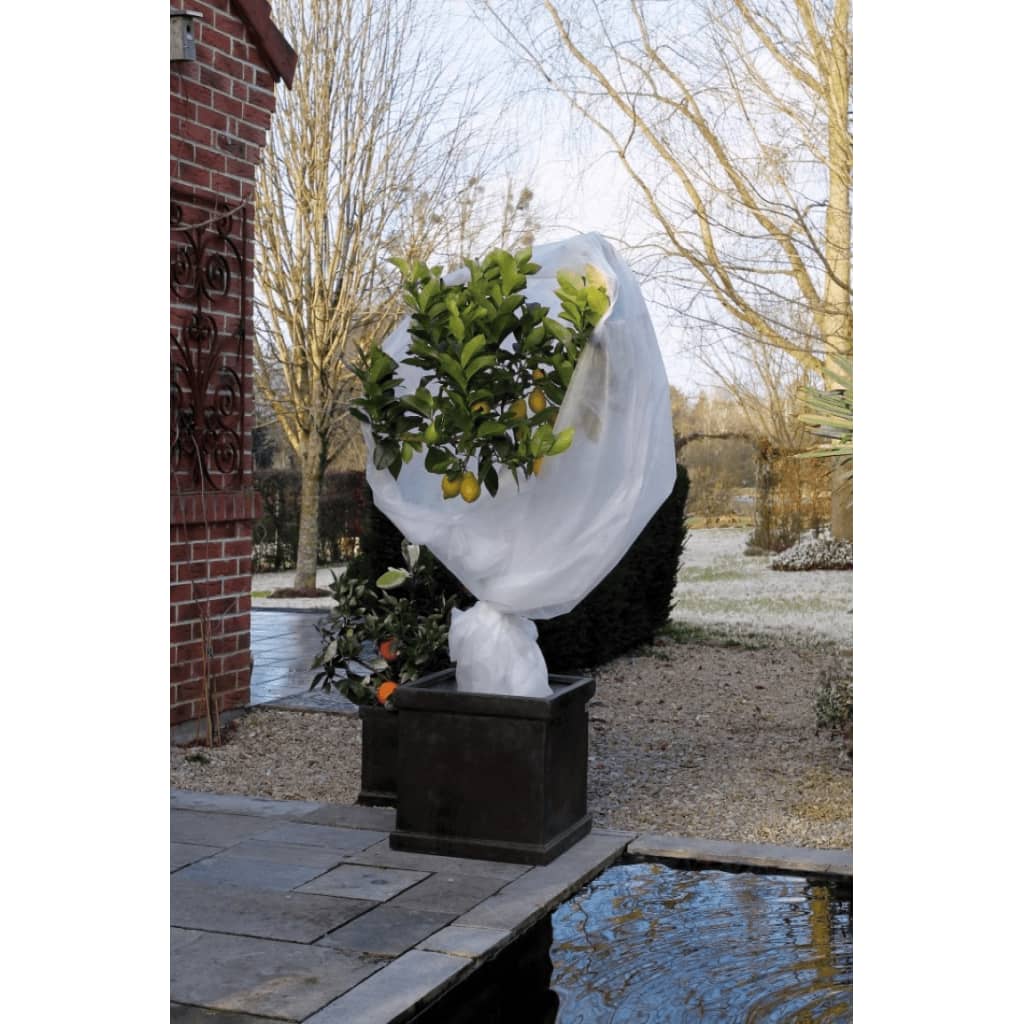 Nature Couverture polaire d'hiver 30 g/m² Blanc 2x5 m