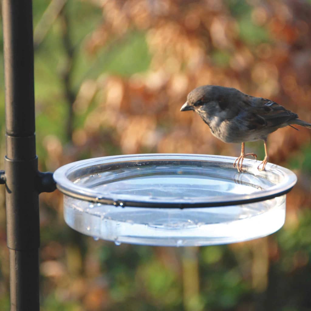 Mangeoire à oiseaux FB150