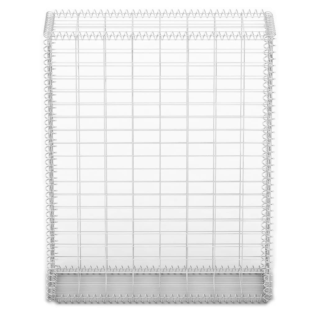 Panier de gabion avec couvercle Fil galvanisé 100 x 80 x 30 cm