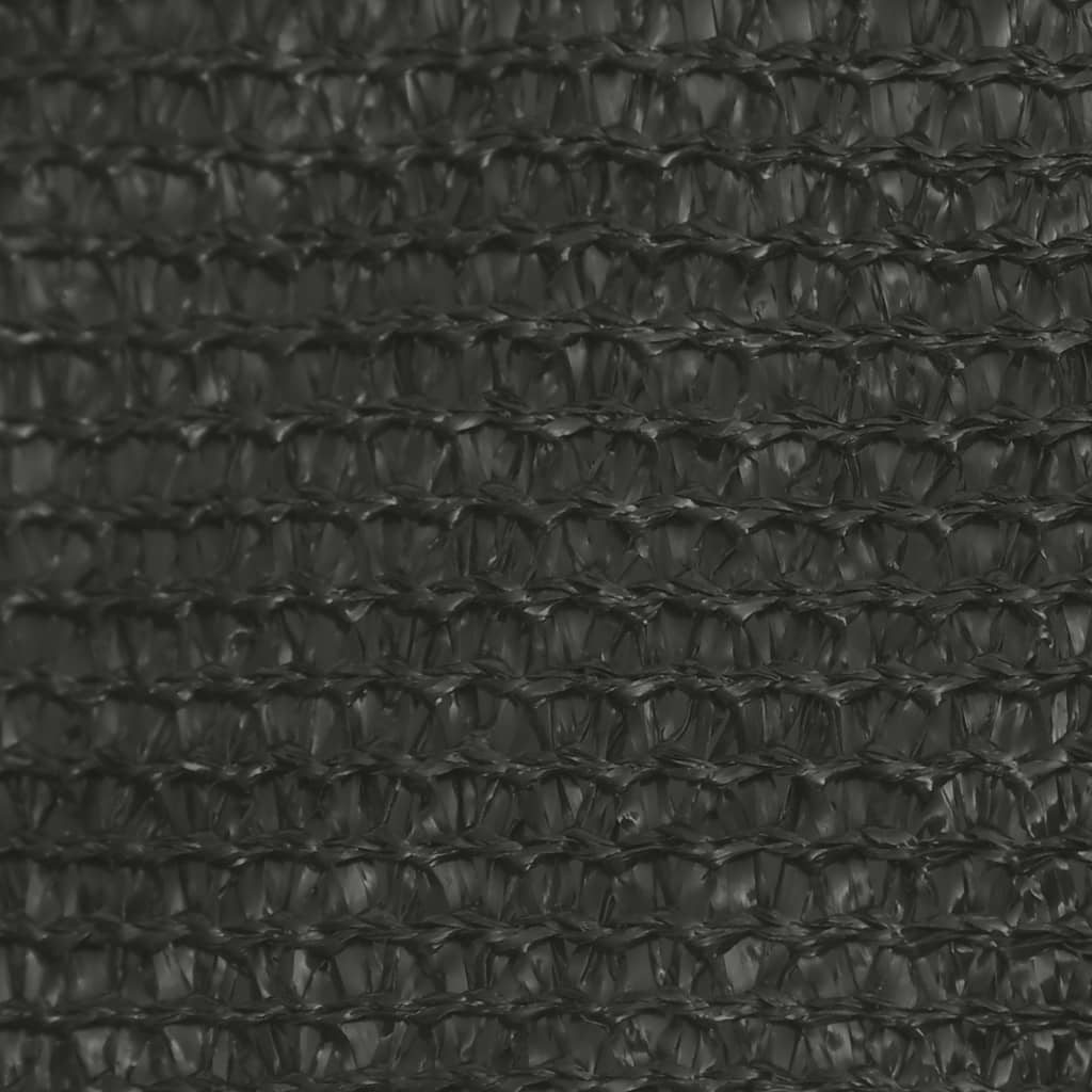 Voile d'ombrage 160 g/m² Anthracite 5x5x6 m PEHD